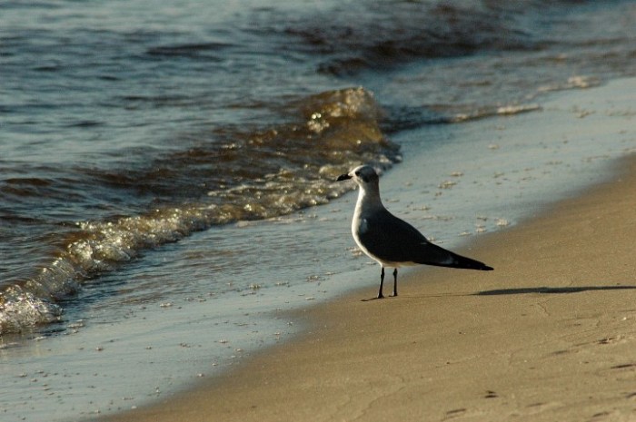 dsc_8060-tweaked-custom