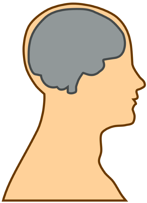 brain7openclipart.org (Custom)