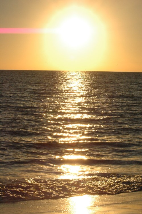 DSC_8086 (Custom) (2)