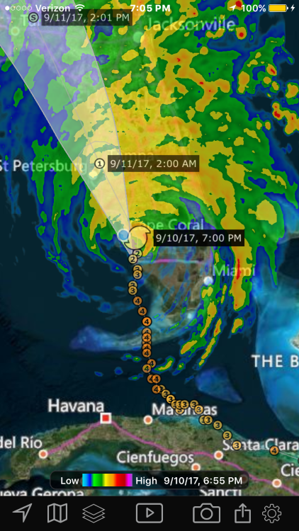 IMG_3446[702] (Custom)