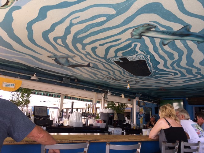 IMG_3473[792] (Custom)